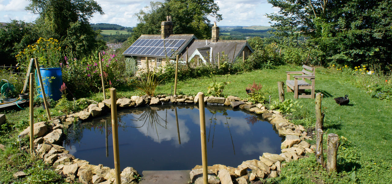 Swansfield Stables - The Pond
